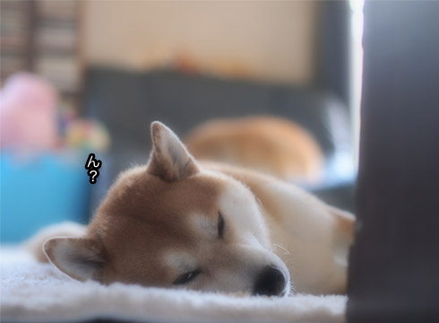 29日ブログ15.jpg