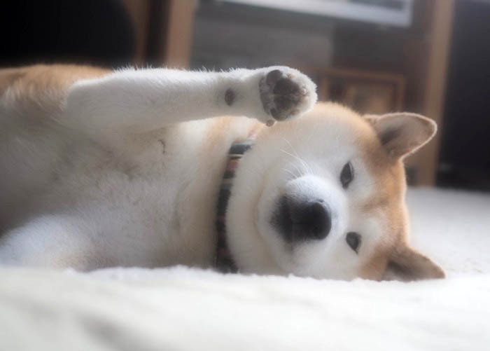 1日ブログ１