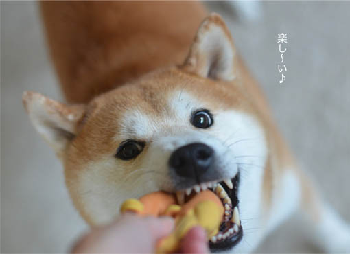 22日ブログ3.jpg