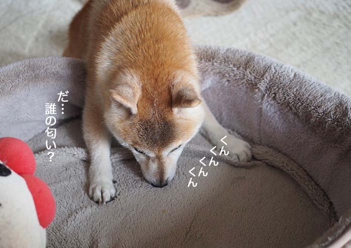 24日ブログ5