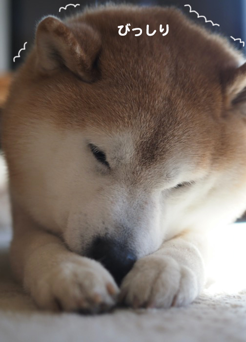 25日ブログ4