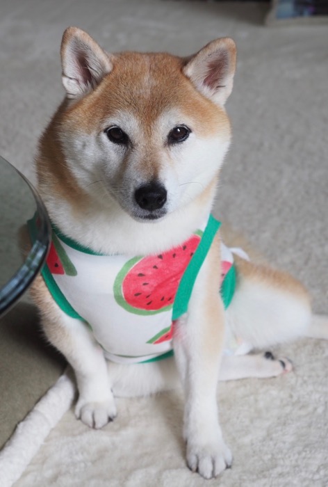 4日夜ブログ４