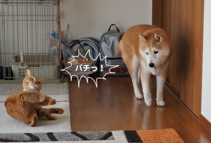 7日ブログ１