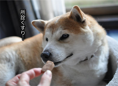 31日ブログ3.jpg