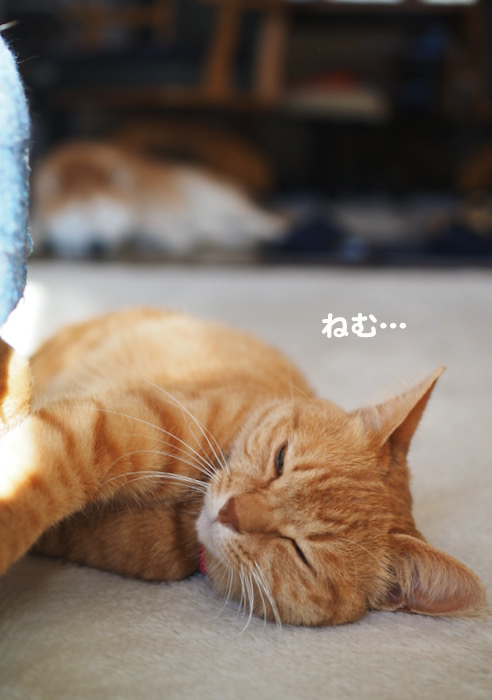 27日ブログ2