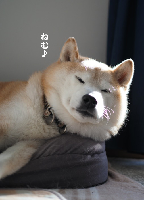 4日ブログ２