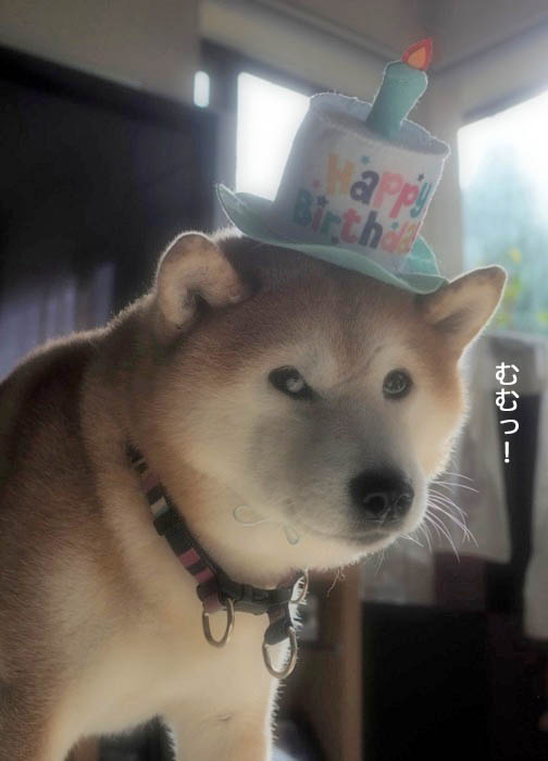 25日ブログ５