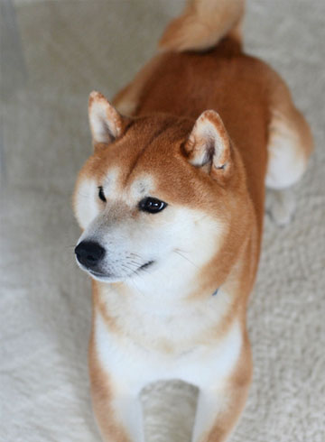 14日ブログ7.jpg