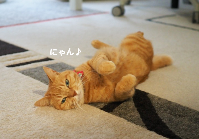 25日夕ブログ3