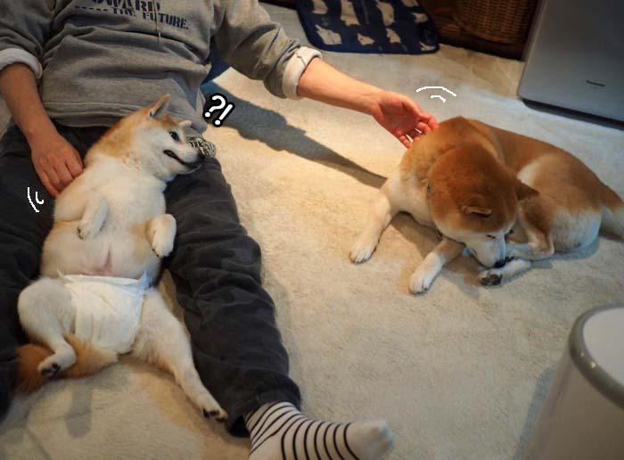 31日夜ブログ５
