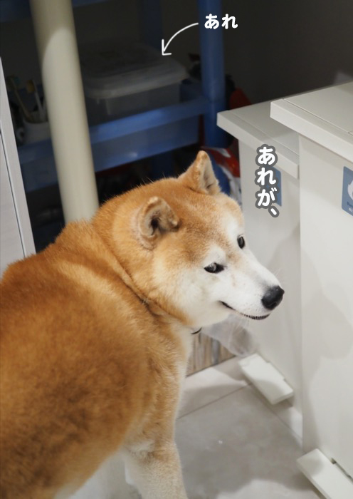 10日夕ブログ４