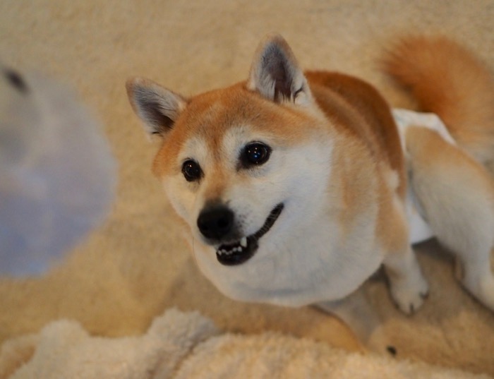 26日夜ブログ１