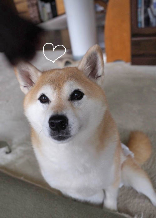 18日夜ブログ５