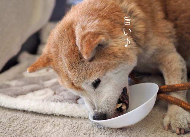 21日ブログ5
