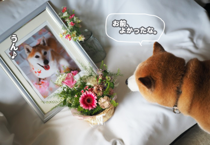 13日夕ブログ６