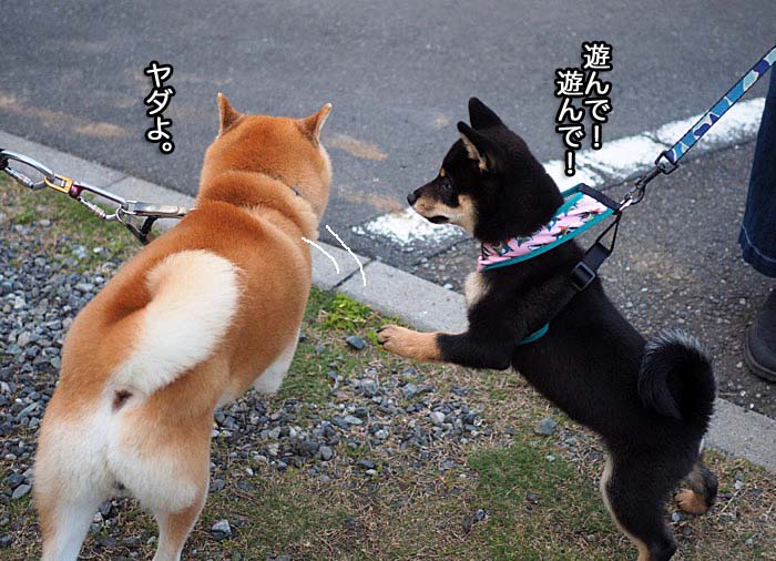 4日夜ブログ7