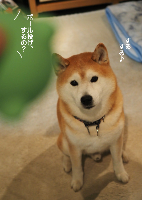 9日ブログ２
