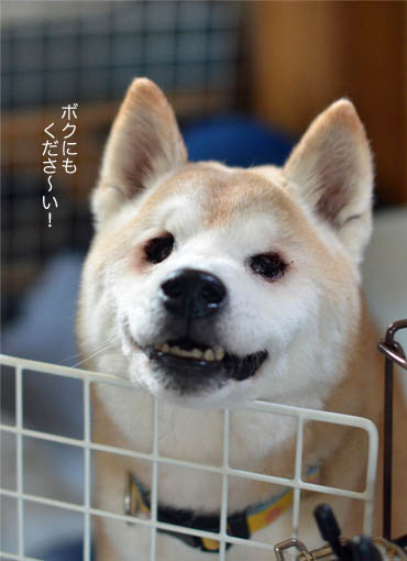 28日ブログ11.jpg