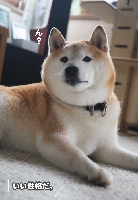 27日夕ブログ７