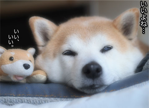 6日ブログ10.jpg