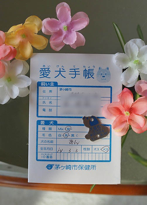 28日ブログ3