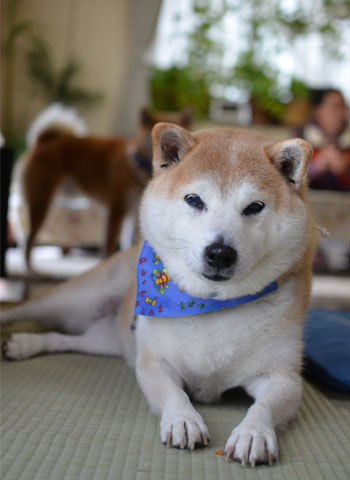 25日ブログ8.jpg