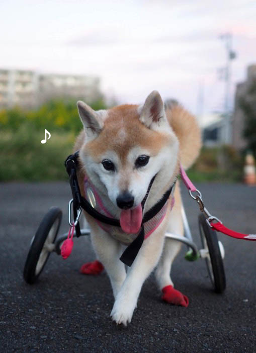 14日夕ブログ４
