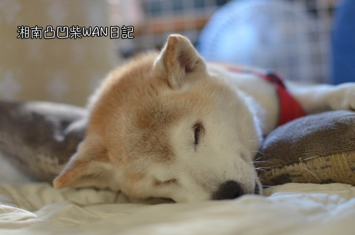 31日ブログ5