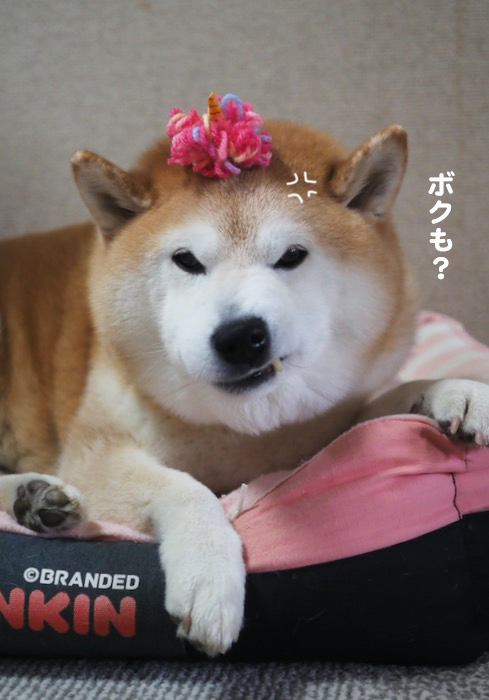 3日夕ブログ８