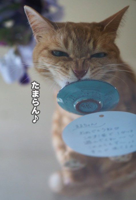 6日夕ブログ６