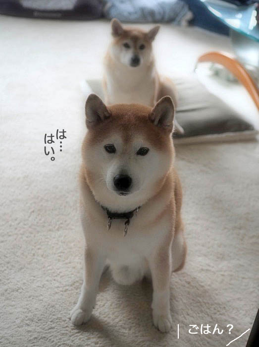3日ブログ３