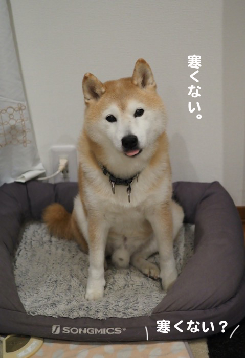 17日夕ブログ２