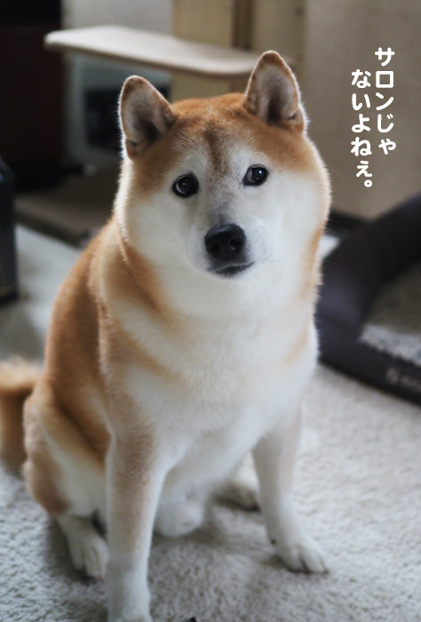 7日夕ブログ３