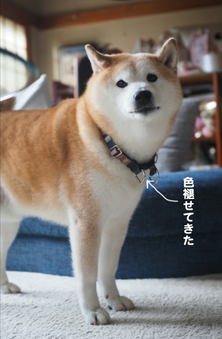 6日夕ブログ２