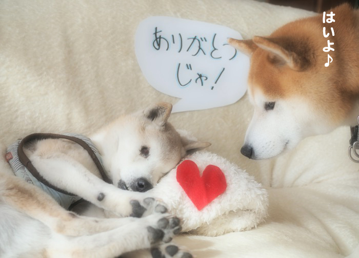 18日ブログ５