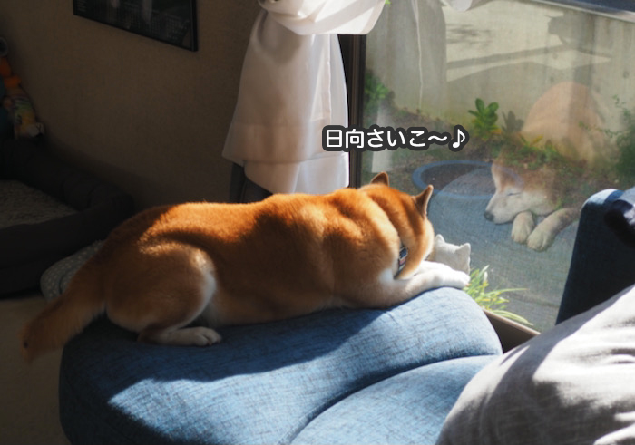 3日ブログ６
