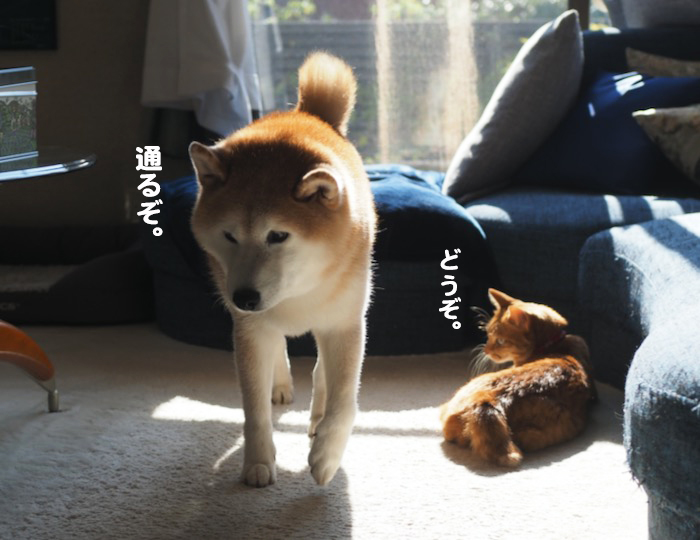 27日ブログ７