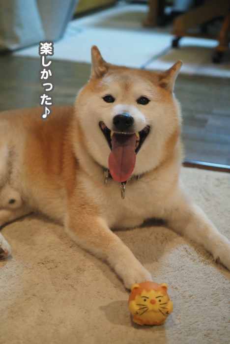 20日ブログ１