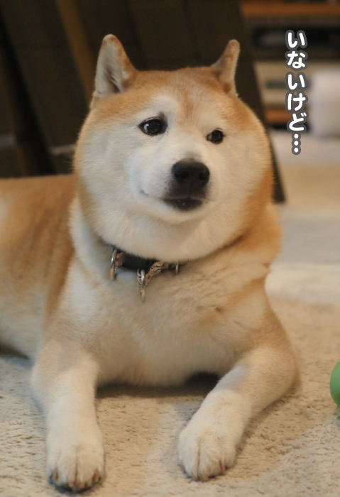 9日夕ブログ４