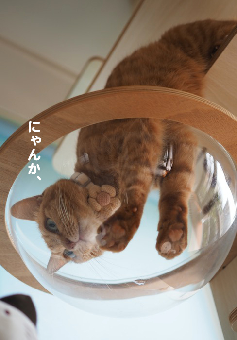 7日夕ブログ５
