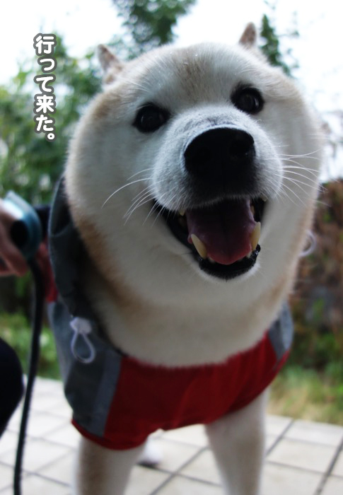 24日夕ブログ４