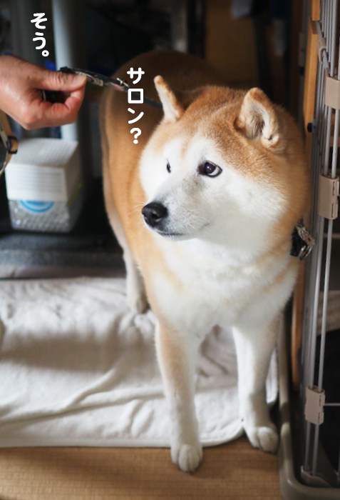 3日夕ブログ６