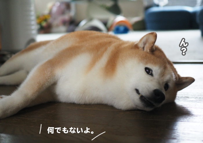 15日ブログ３