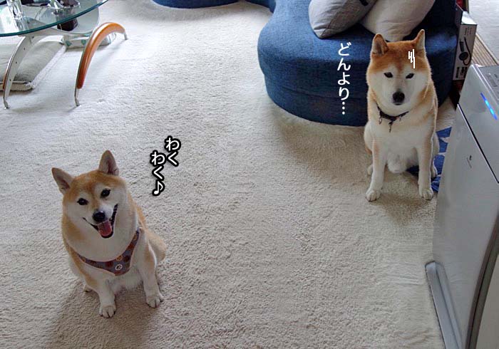6日ブログ２