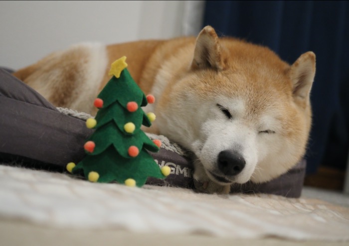 24日夕用3