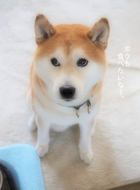 21日ブログ9