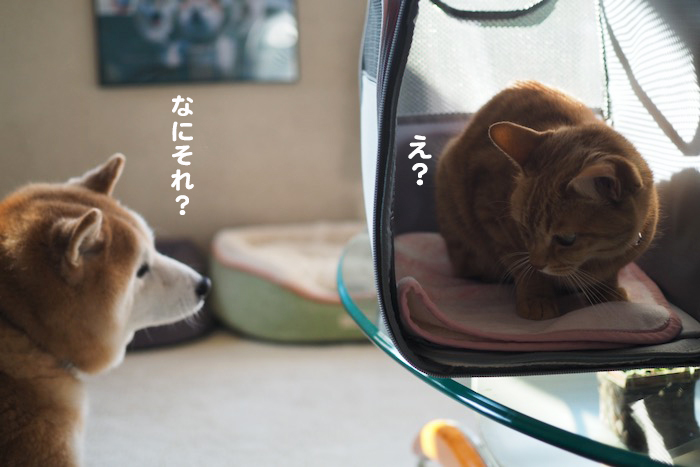 9日ブログ１