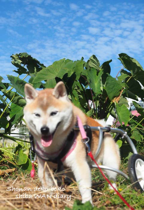 8日ブログ１