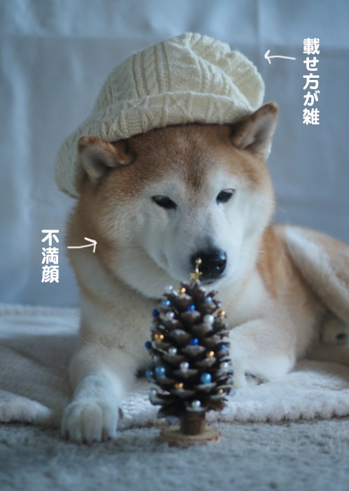 13日ブログ５