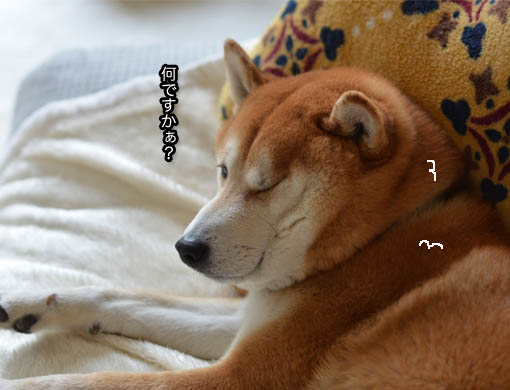 20日ブログ9.jpg